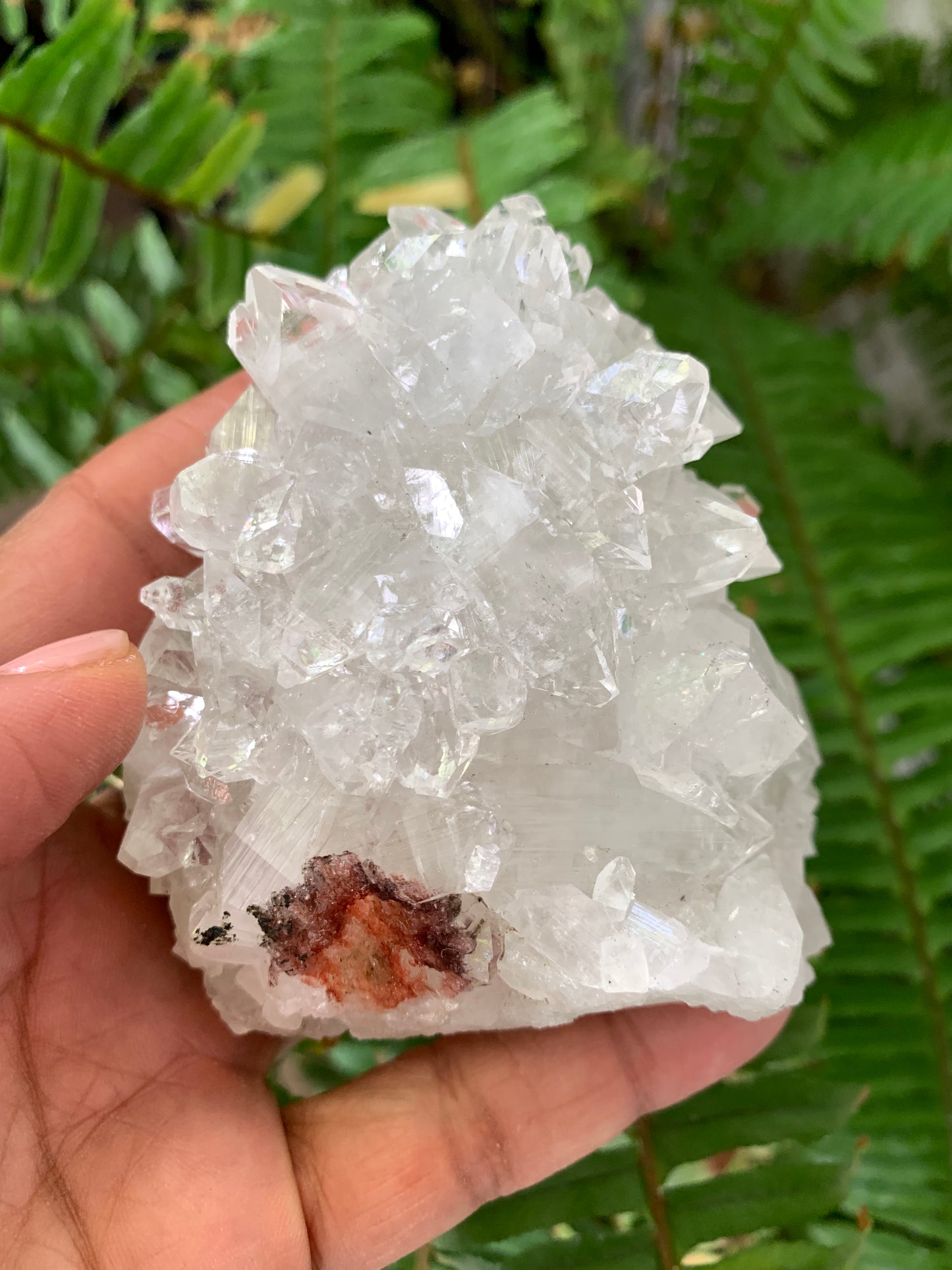 Apophyllite Crystal Cluster